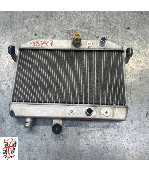 Radiateur d'eau SUZUKI BURGMAN 400 - 2013
