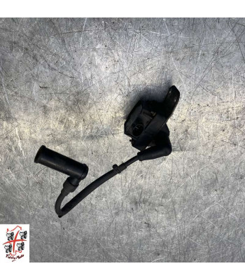 Bobine allumage PIAGGIO BEVERLY 125 - 2011