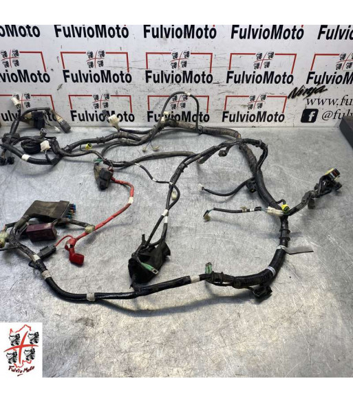 Faisceau électrique KAWASAKI J 125 - 2017