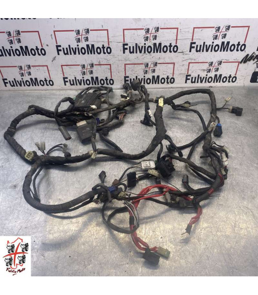 Faisceau électrique YAMAHA T-MAX 500 - 2005