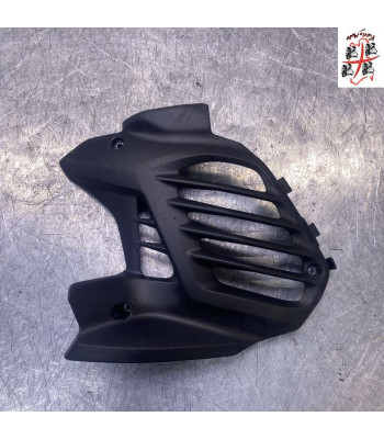 Pare radiateur YAMAHA X-MAX 125 - 2025