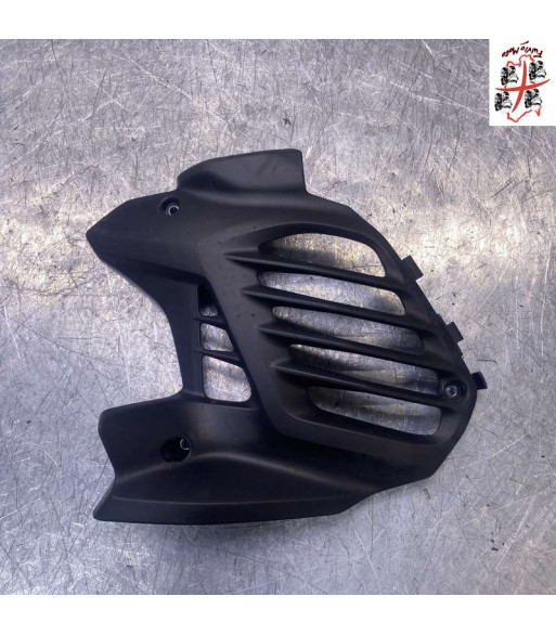 Pare radiateur YAMAHA X-MAX 125 - 2025