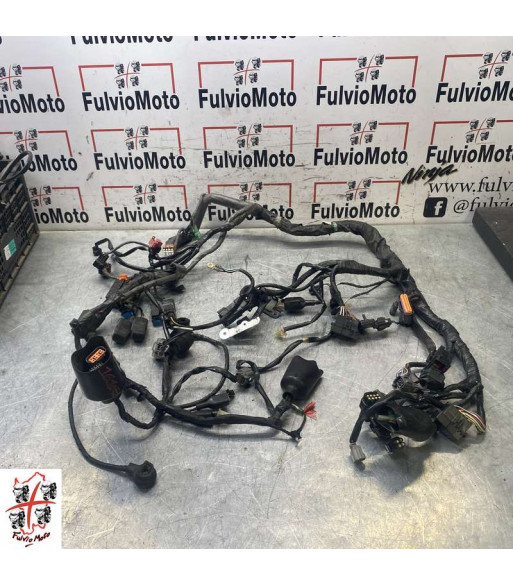 Faisceau électrique KAWASAKI GTR 1400 - 2009