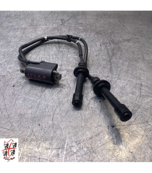 Bobine allumage YAMAHA T-MAX 530 - 2017