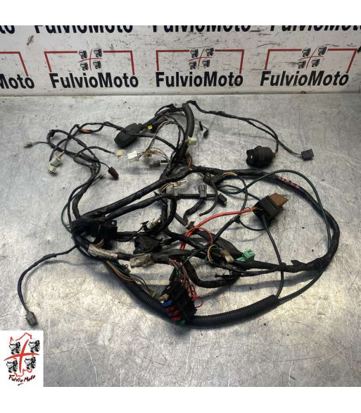 Faisceau électrique PEUGEOT SATELIS 125 - 2010
