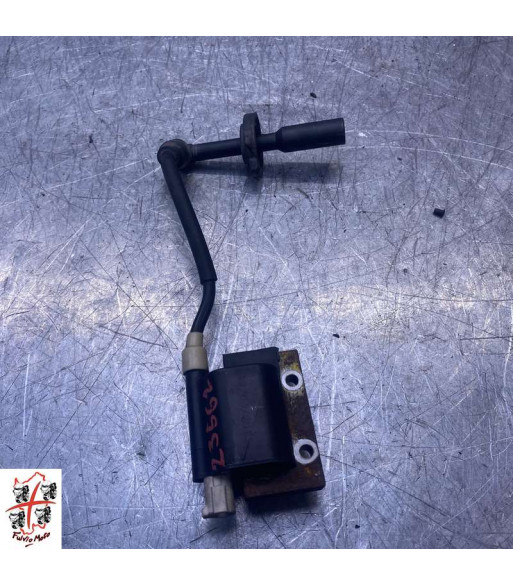 Bobine allumage KTM DUKE 125 - 2014