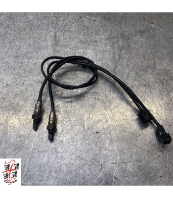 sonda lambda HONDA CB 1000 R - 2024