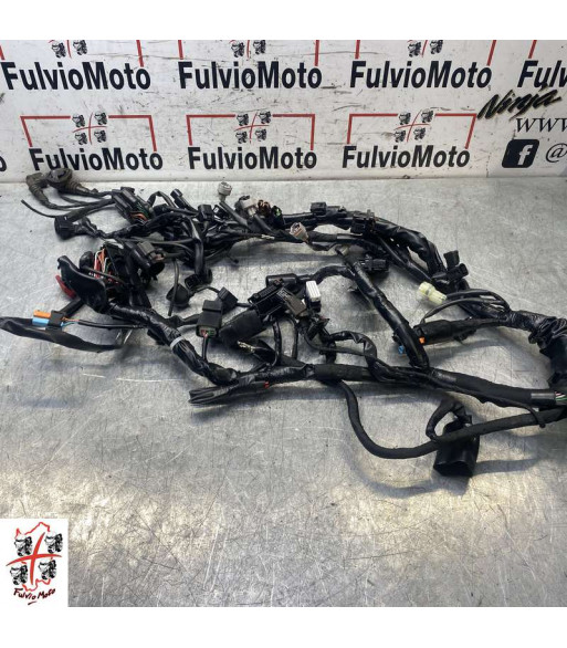 Faisceau électrique HONDA CB 1000 R - 2024 Faisceau électrique HONDA CB 1000 R - 2024