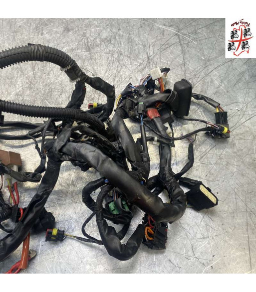 Faisceau électrique PIAGGIO VESPA PRIMAVERA 125 - 2015