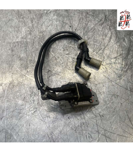 Bobine allumage PIAGGIO MP3 500 - 2015