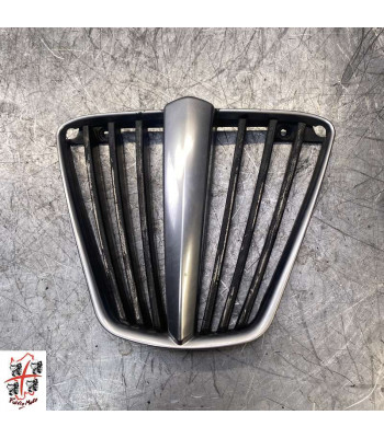 Grille de radiateur PIAGGIO MP3 400 - 2010