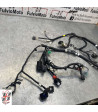 Faisceau électrique SUZUKI BURGMAN 125 - 2024