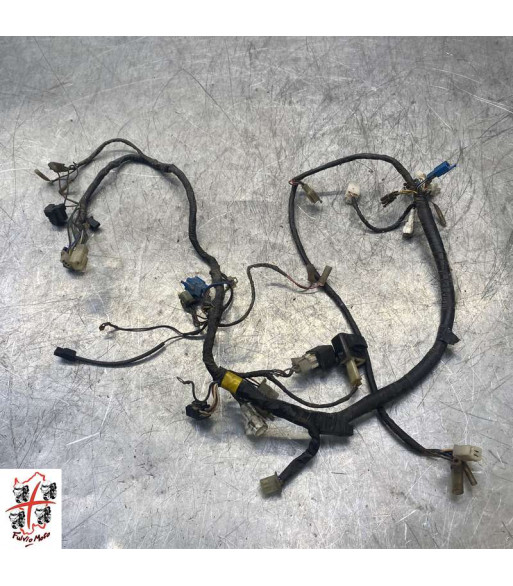 Faisceau électrique YAMAHA TDR - 1996
