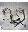 Faisceau électrique YAMAHA TDR - 1996