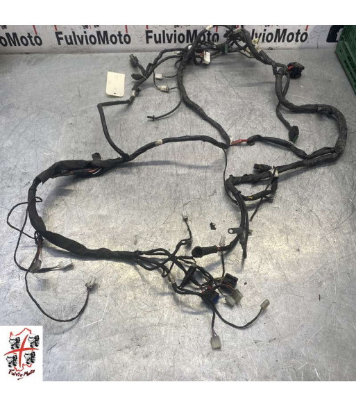 Faisceau électrique PIAGGIO FLY 125 - 2009