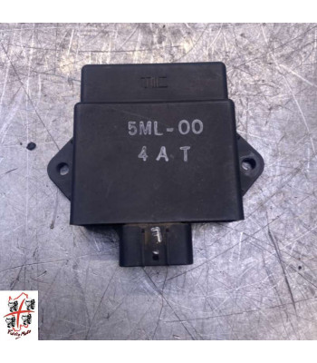 Boitier CDI Paire YAMAHA CYGNUS 125 - 2005