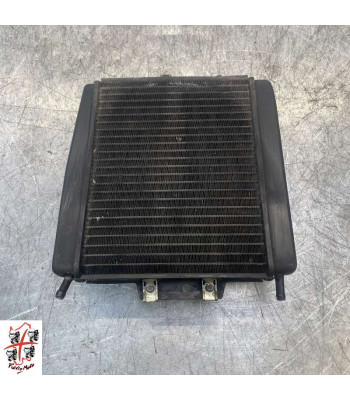 Radiateur d'eau PIAGGIO MP3 300 - 2010