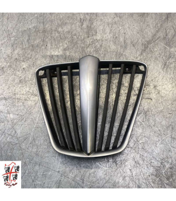 Grille de radiateur Avant PIAGGIO MP3 300 - 2010
