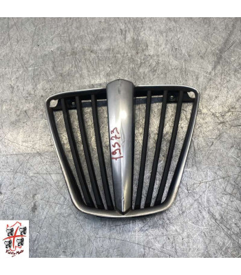 Grille de radiateur PIAGGIO MP3 300 - 2011