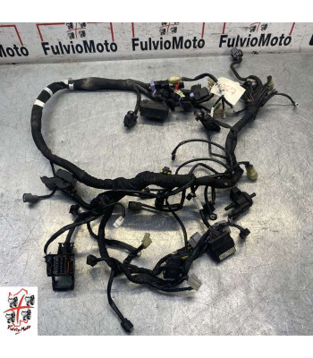 Faisceau électrique KTM DUKE 790 - 2020