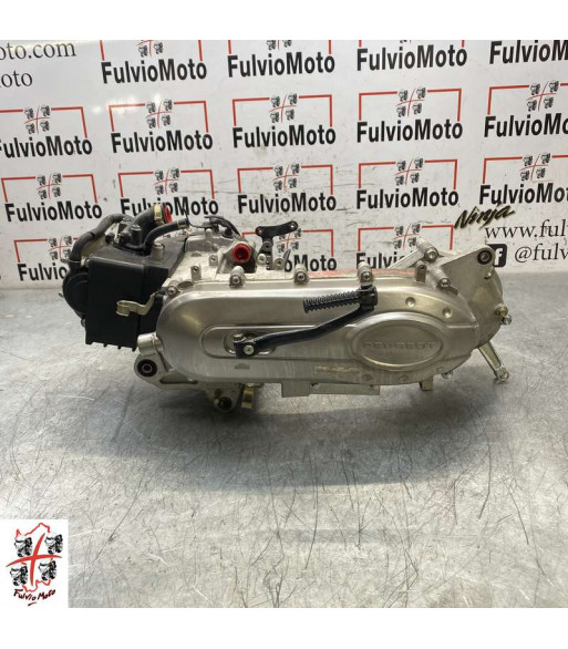 Moteur PEUGEOT TWEET 50 - 2014 Moteur PEUGEOT TWEET 50 - 2014