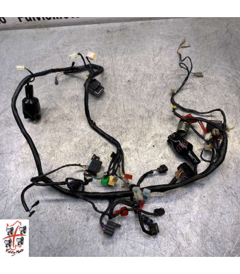 Faisceau électrique MASH 50 - 2022