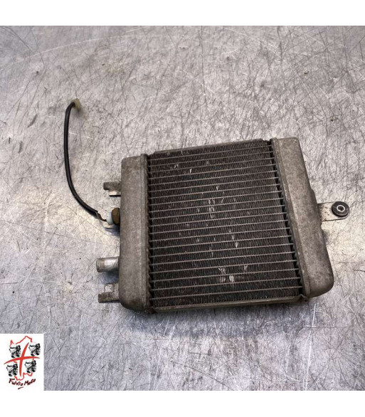 Radiateur d'eau SUZUKI BURGMAN 125 - 2008