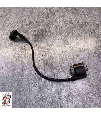 Bobine allumage SUZUKI SCV 100 - 2006