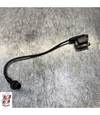 Bobine allumage PEUGEOT TWEET 50 - 2020
