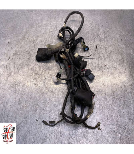 Faisceau électrique HONDA SH 125 - 2008