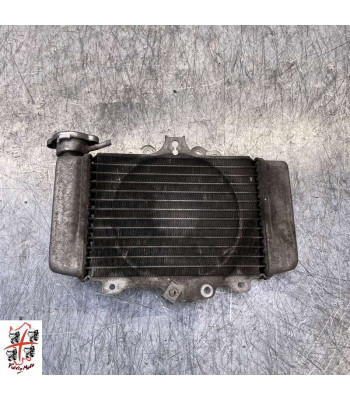 Radiateur d'eau HONDA SH 125 - 2008