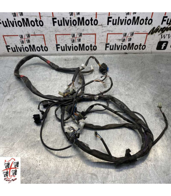 Faisceau électrique APRILIA ATLANTIC 125 - 2011