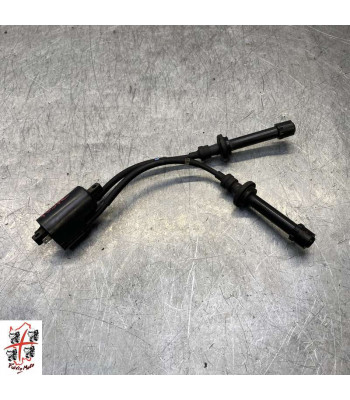 Bobine allumage YAMAHA T-MAX 500 - 2005