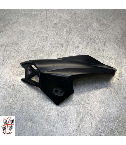 Ecope Droit BMW K1300R - 2011
