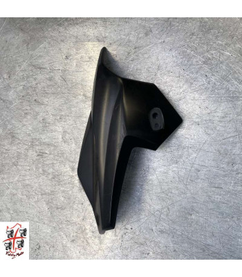 Ecope Gauche BMW K1300R - 2011