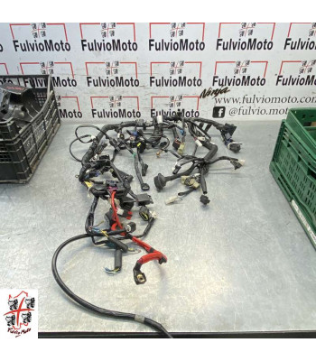 Faisceau électrique YAMAHA MT09 - 2014