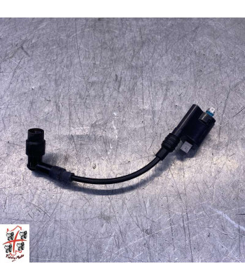 Bobine allumage HONDA PCX 125 - 2024