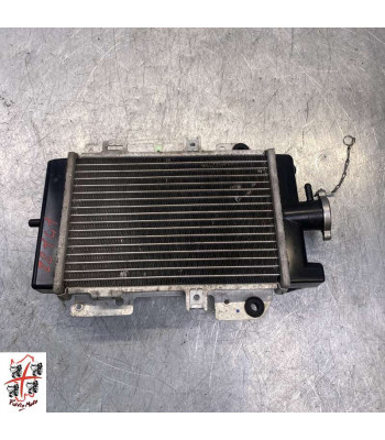 Radiateur d'eau PEUGEOT PULSION 125 - 2019
