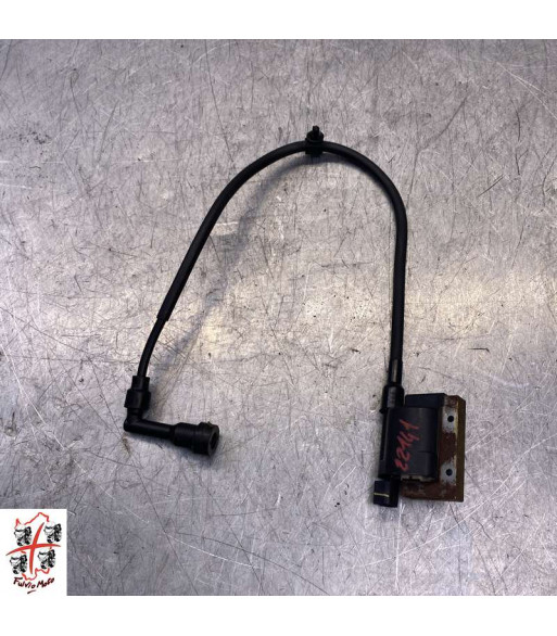 Bobine allumage PEUGEOT PULSION 125 - 2019