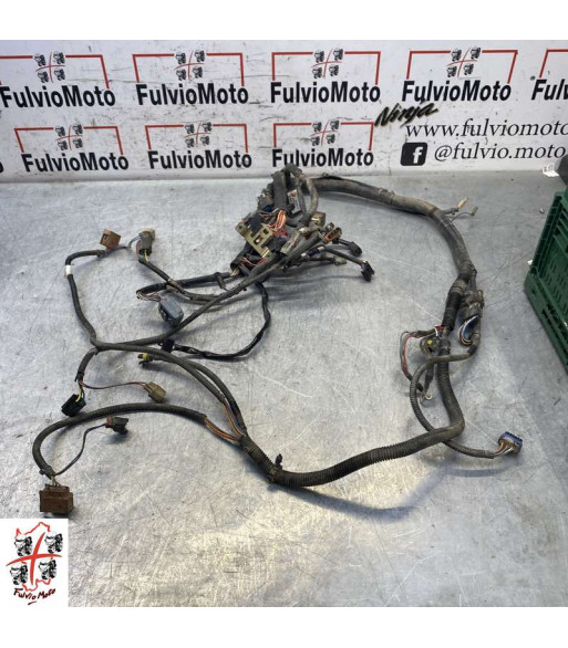 Faisceau électrique POLARIS SPORTSMAN 500 - 2009