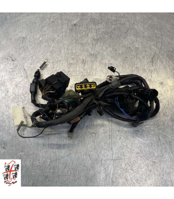 Faisceau électrique Droit SUZUKI BANDIT 650 - 2006