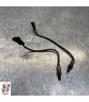 sonda lambda APRILIA TUONO 1100 - 2018