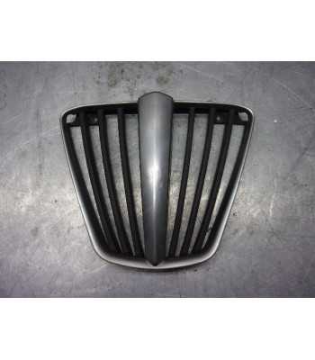 Grand flauw ontwikkeling Grille de radiateur - PIAGGIO MP3 250 - 2008 - Occasion pour Grille...
