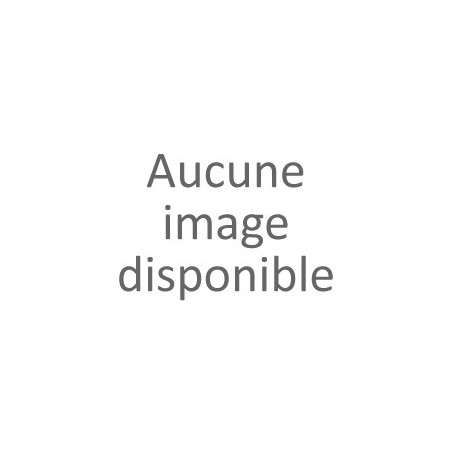 Fourche - APRILIA RS 50 - 1998 - Occasion